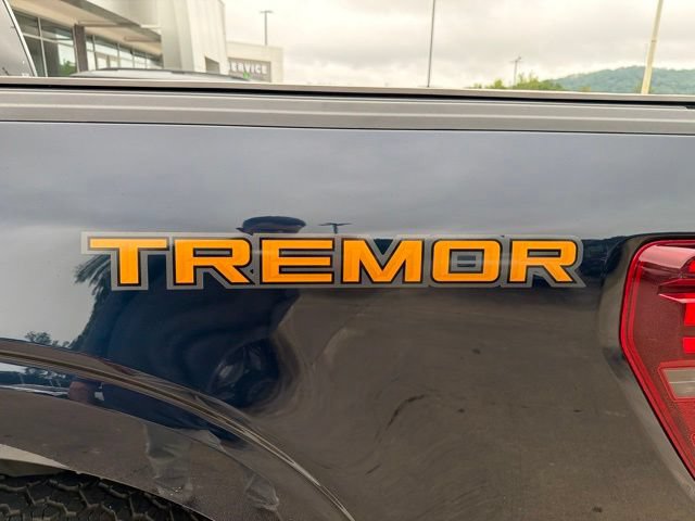Certified 2025 Ford F150 Tremor w/ Equipment Group 402A High AWD/4WD image 24