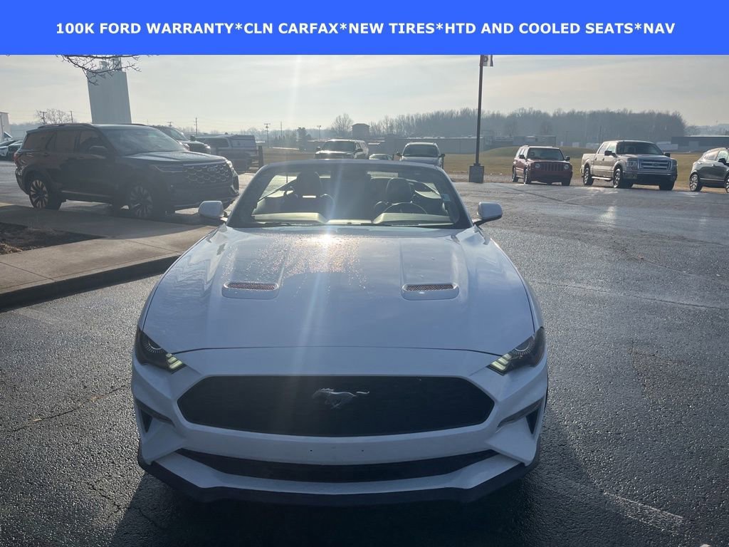 Certified 2022 Ford Mustang Premium w/ Equipment Group 201A image 16