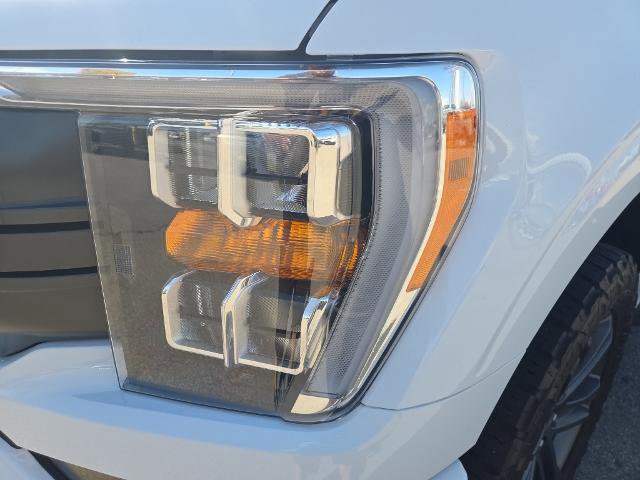 Certified 2023 Ford F150 XLT w/ Equipment Group 302A High AWD/4WD image 4