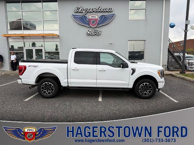 Certified 2023 Ford F150 XLT w/ Equipment Group 302A High AWD/4WD image 1