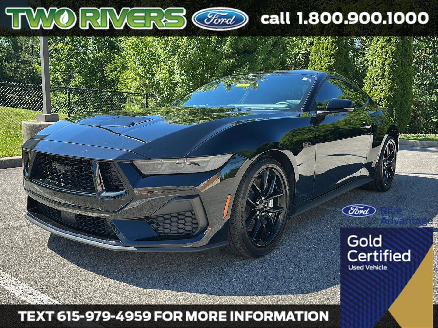 Certified 2025 Ford Mustang GT Premium RWD image 1