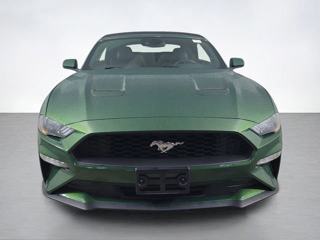 Certified 2023 Ford Mustang Premium image 8