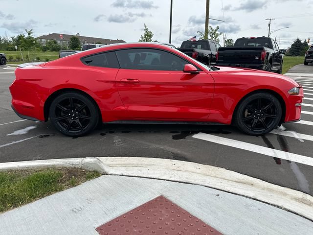 Certified 2019 Ford Mustang Coupe w/ Equipment Group 101A RWD image 6