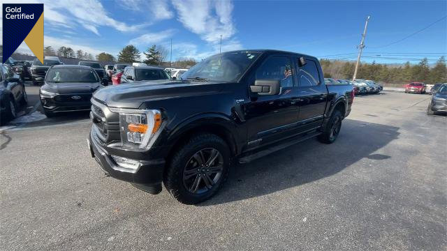 Certified 2023 Ford F150 XLT w/ Equipment Group 302A High