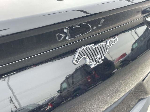 Certified 2022 Ford Mustang Mach-E Select image 8