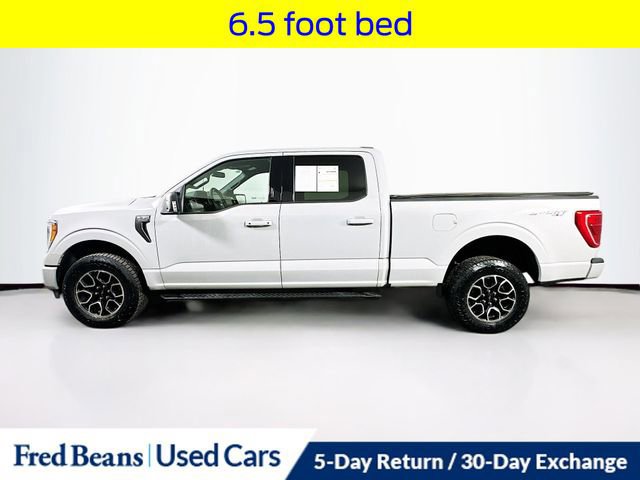Certified 2023 Ford F150 XLT w/ Equipment Group 302A High video 2