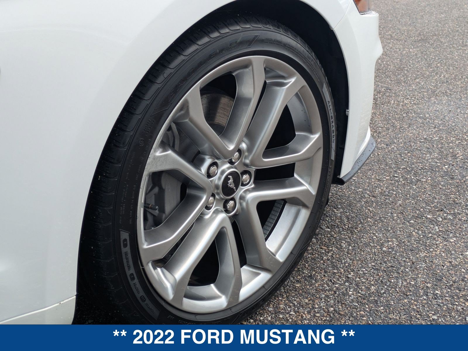 Certified 2022 Ford Mustang GT Premium w/ Equipment Group 401A RWD image 12