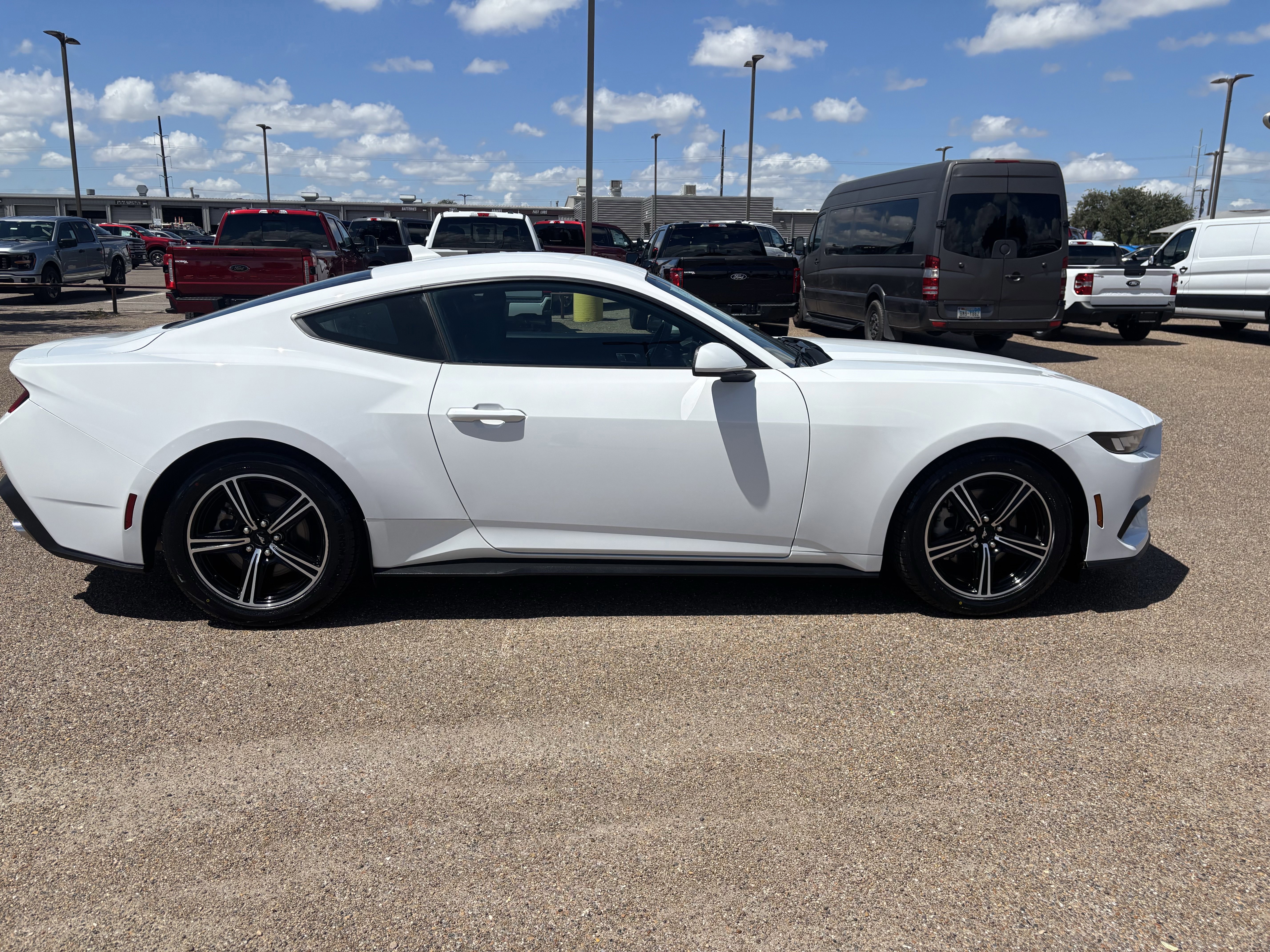 Certified 2024 Ford Mustang Coupe image 5