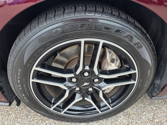 Certified 2018 Ford Mustang GT w/ Equipment Group 301A RWD image 12