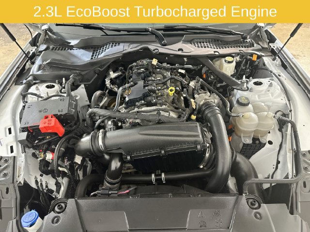 Certified 2024 Ford Mustang Premium RWD image 31