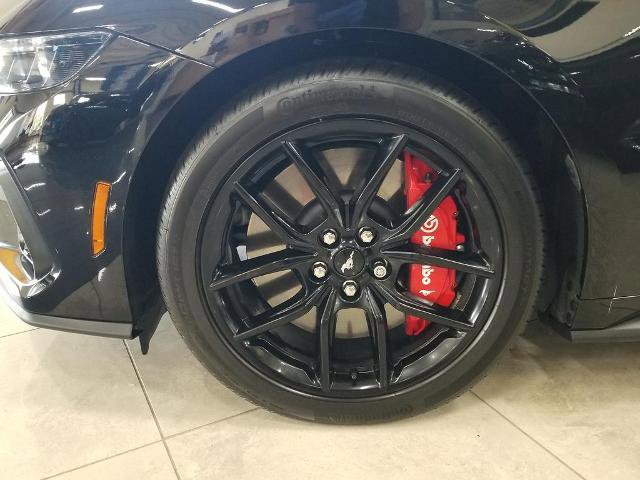 Certified 2025 Ford Mustang GT Premium w/ Mustang Nite Pony Package RWD image 16