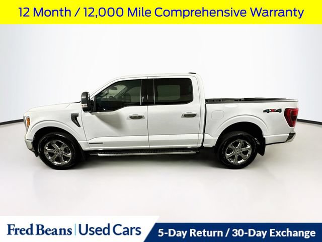 Certified 2023 Ford F150 XLT w/ Equipment Group 302A High AWD/4WD image 5