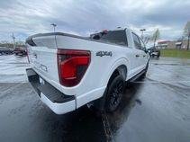 Certified 2024 Ford F150 STX w/ STX Black Appearance Package AWD/4WD image 12