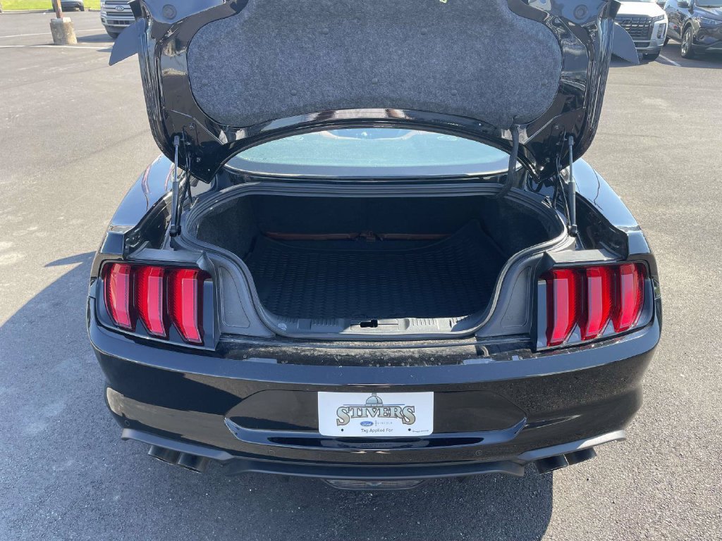 Certified 2018 Ford Mustang GT w/ Equipment Group 301A RWD image 10