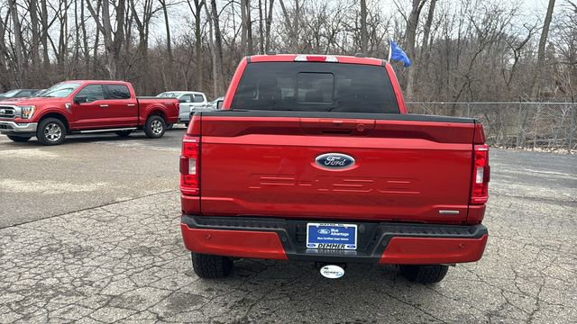 Certified 2023 Ford F150 XLT w/ Equipment Group 302A High image 4