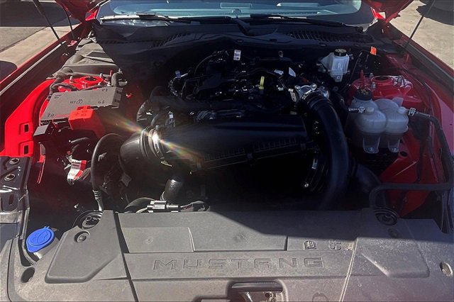 Certified 2024 Ford Mustang Premium image 12