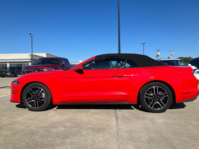 Certified 2020 Ford Mustang Premium RWD image 2
