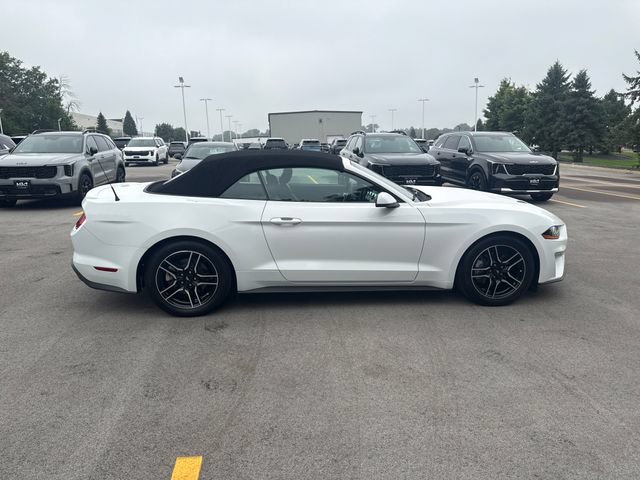 Certified 2018 Ford Mustang Premium RWD image 6