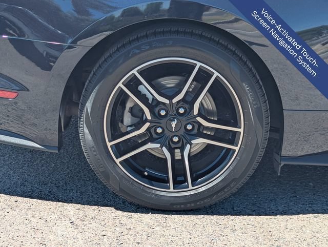 Certified 2021 Ford Mustang Premium w/ Ford Safe & Smart Package RWD image 10