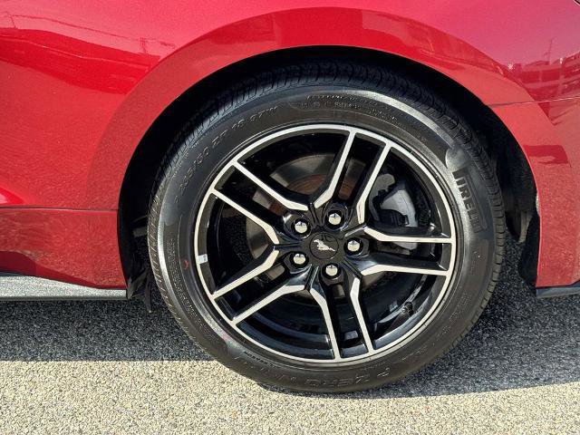 Certified 2022 Ford Mustang EcoBoost w/ Equipment Group 101A image 9