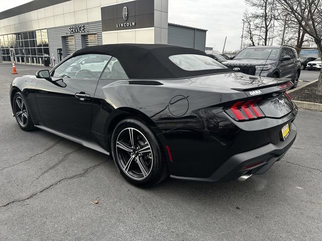 Certified 2025 Ford Mustang Premium image 3