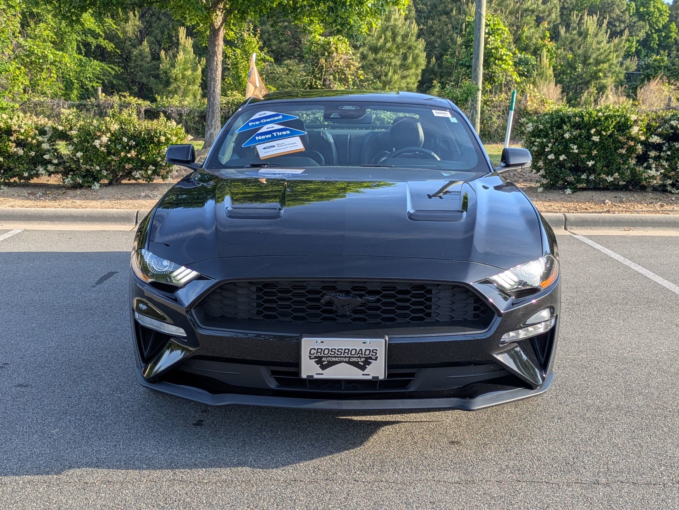 Certified 2023 Ford Mustang Premium w/ Equipment Group 201A RWD image 9