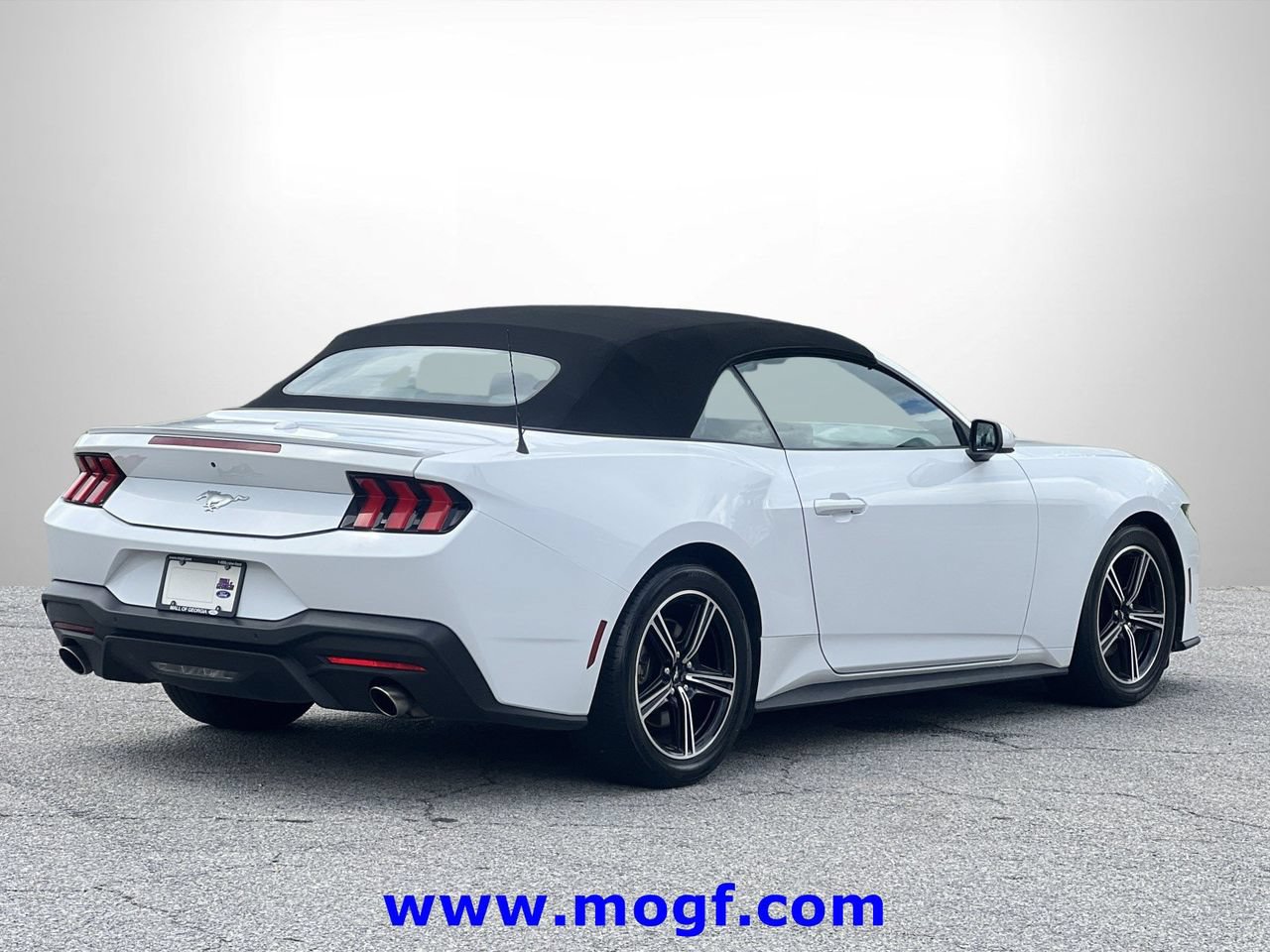 Certified 2024 Ford Mustang Premium RWD image 3