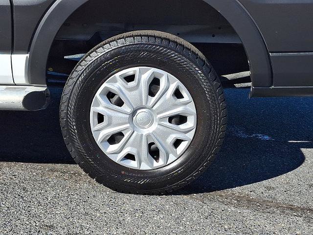 Certified 2025 Ford Transit 250 Low Roof w/ Exterior Upgrade Package RWD image 8