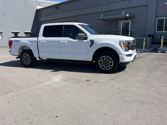 Certified 2023 Ford F150 XLT w/ Equipment Group 302A High image 2