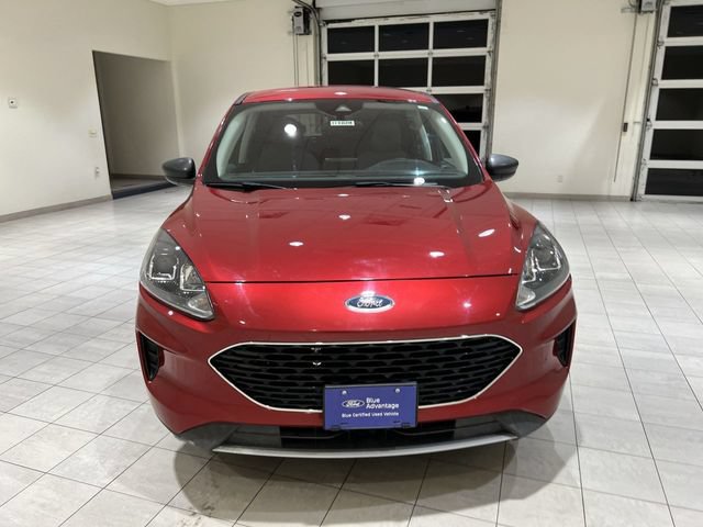 Certified 2022 Ford Escape SE w/ Convenience Package FWD image 8