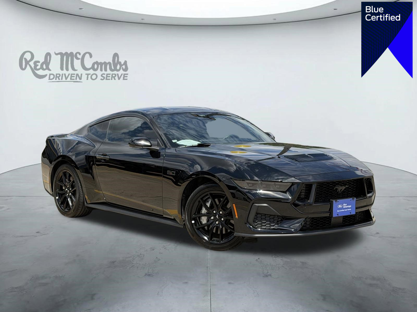 Certified 2024 Ford Mustang GT Premium w/ Mustang Nite Pony Package