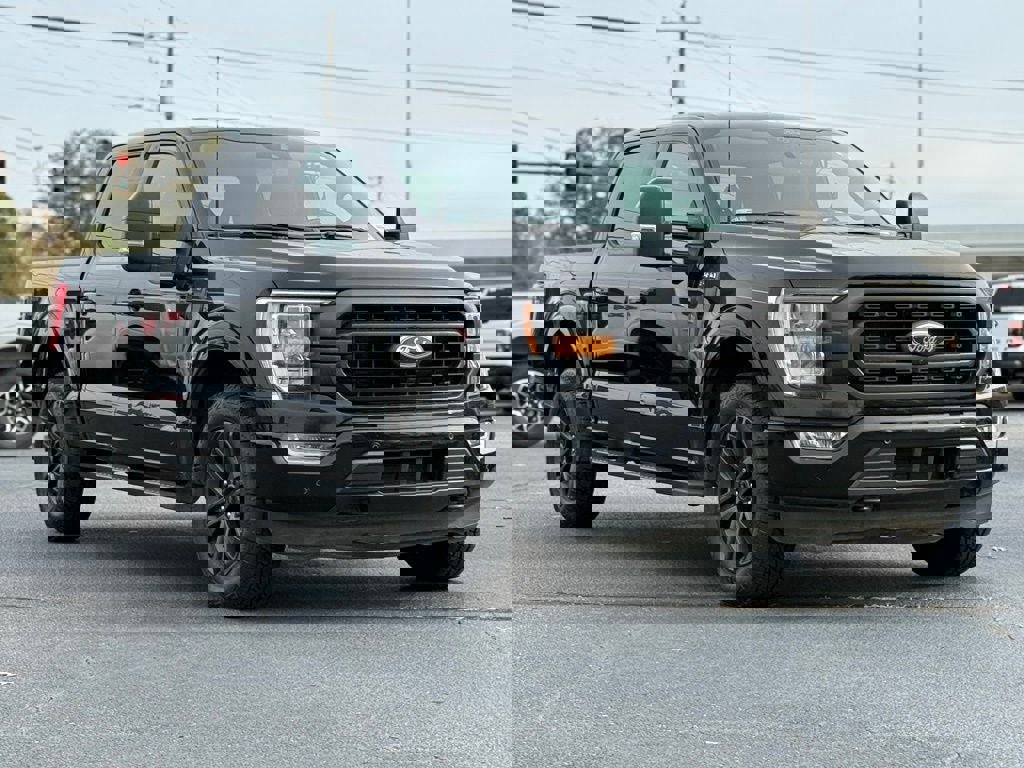 Certified 2022 Ford F150 XLT w/ Equipment Group 302A High image 2