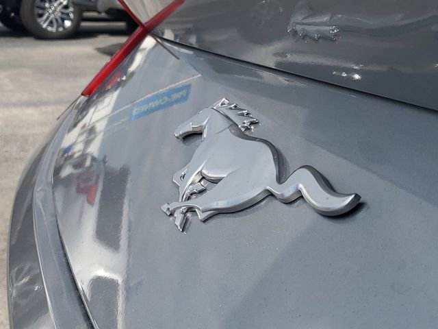 Certified 2024 Ford Mustang Coupe image 6