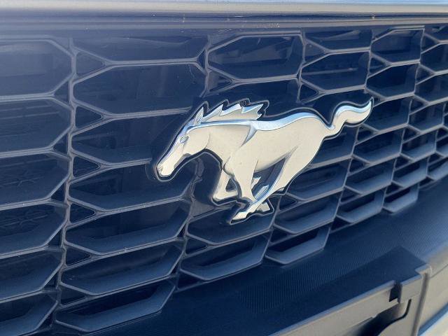 Certified 2024 Ford Mustang Premium RWD image 8