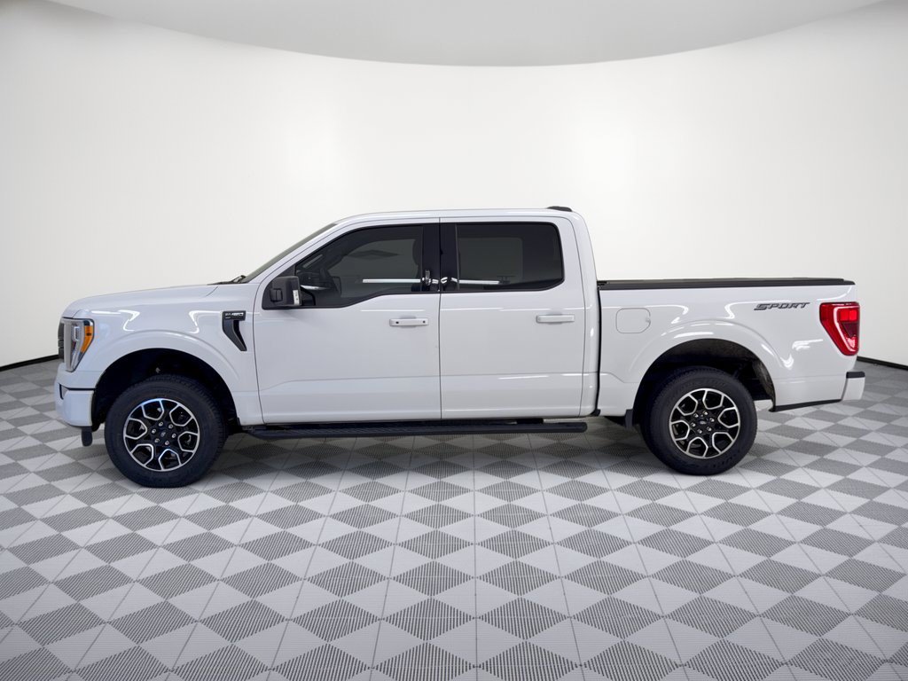 Certified 2023 Ford F150 XLT w/ Equipment Group 302A High RWD image 2