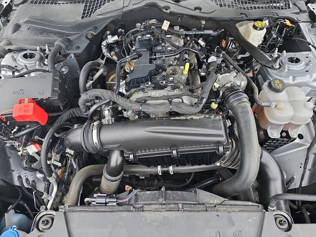 Certified 2024 Ford Mustang Premium RWD image 30