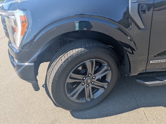 Certified 2023 Ford F150 XLT w/ Equipment Group 302A High AWD/4WD image 5