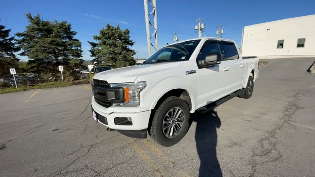 Certified 2019 Ford F150 XLT w/ Equipment Group 302A Luxury AWD/4WD image 5