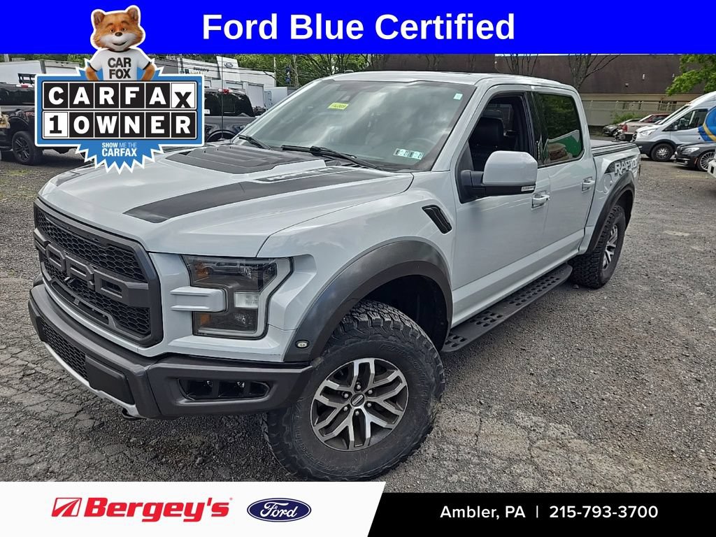 Certified 2017 Ford F150 Raptor w/ Equipment Group 802A Luxury AWD/4WD image 1