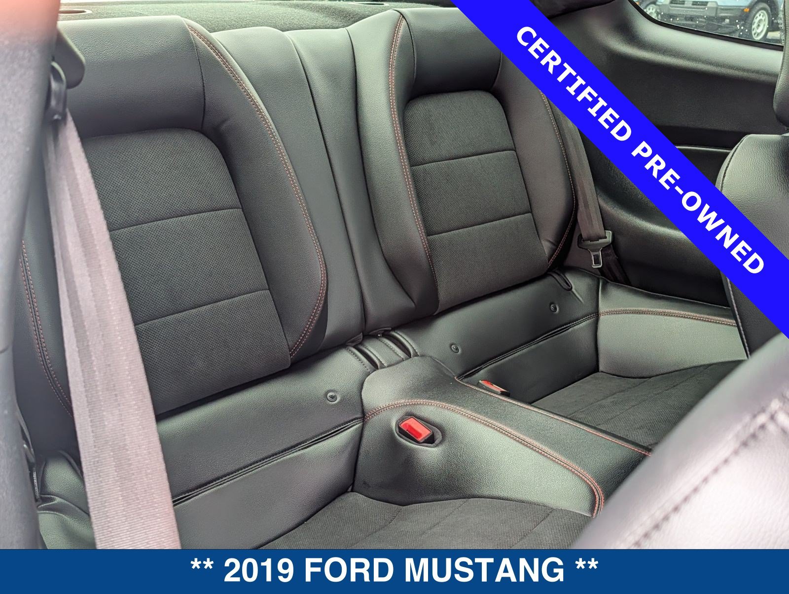 Certified 2019 Ford Mustang GT Premium w/ Equipment Group 401A RWD image 16