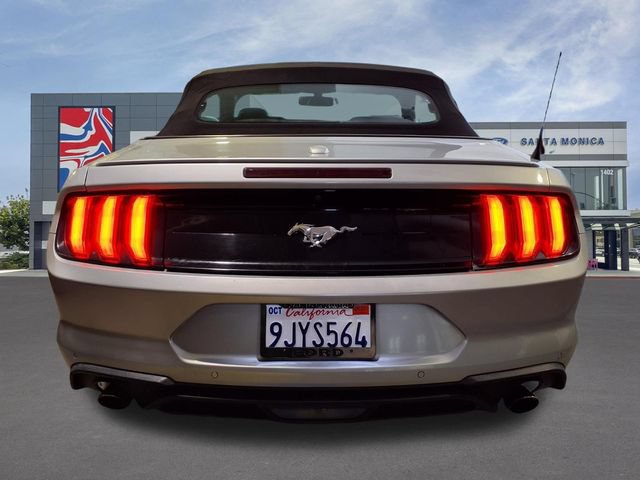 Certified 2019 Ford Mustang Premium RWD image 21