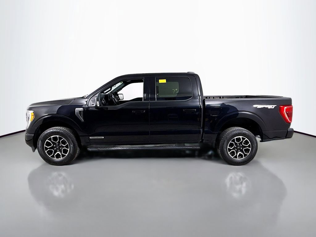 Certified 2023 Ford F150 XLT w/ Equipment Group 302A High image 11