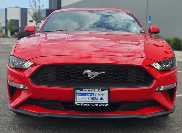 Certified 2019 Ford Mustang Premium RWD image 8
