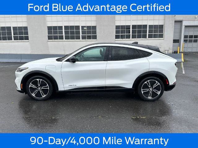 Certified 2023 Ford Mustang Mach-E Premium image 3