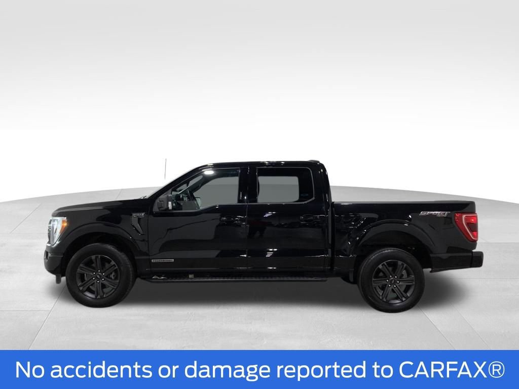 Certified 2023 Ford F150 XLT w/ Equipment Group 302A High image 6