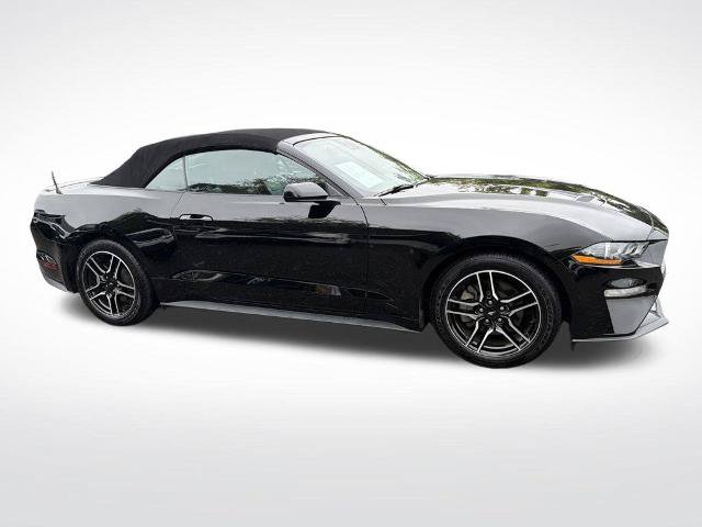 Certified 2023 Ford Mustang Premium RWD image 6