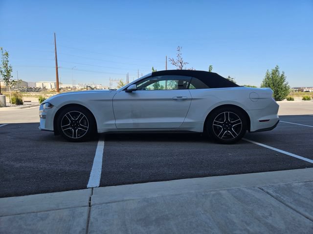 Certified 2023 Ford Mustang Premium RWD image 2