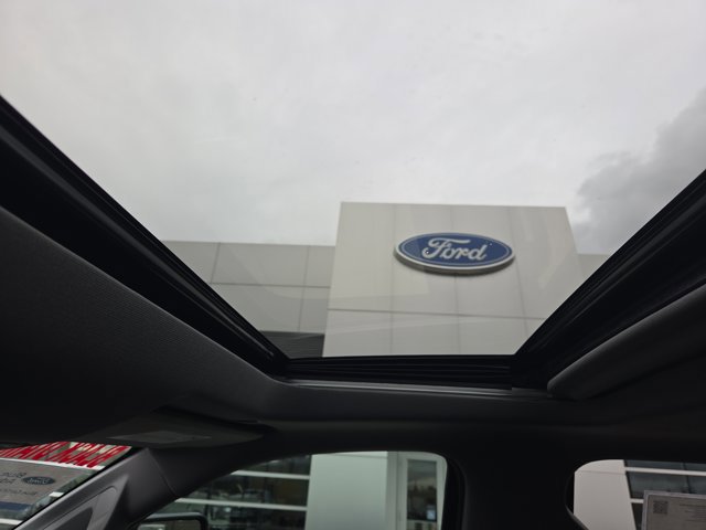 Used 2021 GMC Sierra 2500 Denali w/ Denali Black Diamond Edition image 20