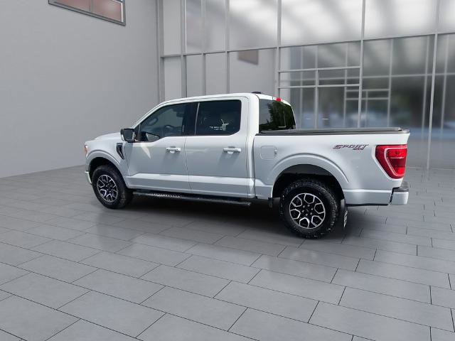 Certified 2023 Ford F150 XLT w/ Equipment Group 302A High AWD/4WD image 6