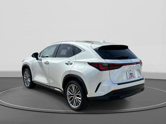 Used 2024 Lexus NX 350h AWD w/ Vision Package image 2